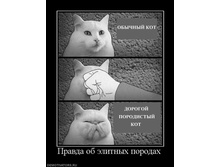 y_017f6bb3.jpg
