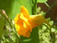 DSCN7150.JPG