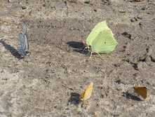 DSCN7159.JPG
