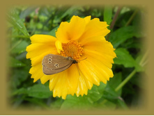 DSCN7303-1.jpg