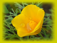 DSCN7323-2.jpg