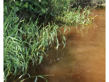 DSCF1767.JPG
