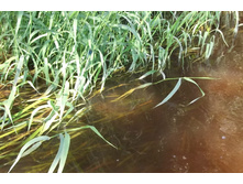 DSCF1765.JPG
