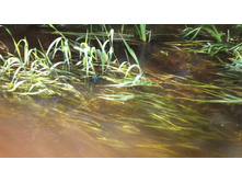DSCF1762.JPG