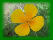 DSCN7366-1.jpg