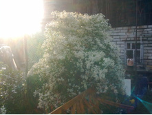 17072011127.jpg