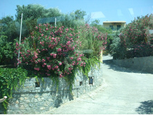 DSCF3361.JPG