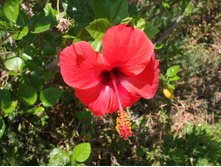 DSCF3463.JPG