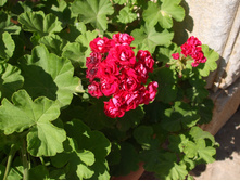 DSCF3548.JPG