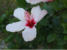 DSCF3646.JPG