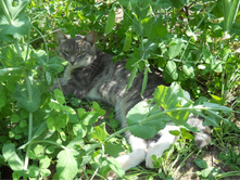DSCN7554.JPG
