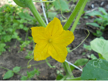 DSCN7628.JPG