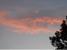 DSCN7599.JPG