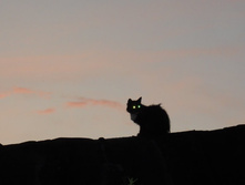DSCN7601-1.JPG
