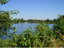 DSCN0424.JPG