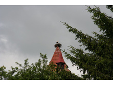 IMG_1226_resize.JPG