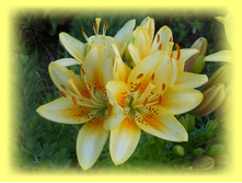 DSCN7597-2.jpg
