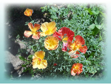 DSCN7614-3.jpg