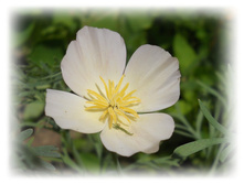 DSCN7620-1.jpg