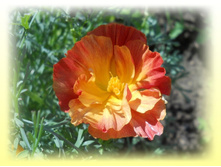 DSCN7630-2.jpg