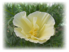 DSCN7632-2.jpg
