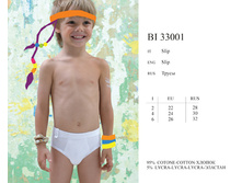 bi33001.jpg