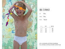 bi33002.jpg