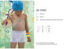 bi35002.jpg