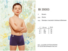 BI35003.jpg