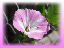 DSCN7634-2.jpg