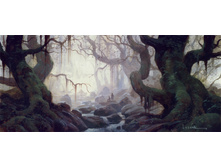 Fangorn 3.jpg