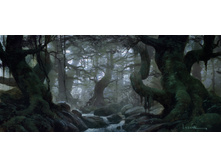 Fangorn 4.jpg