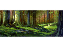 Forest Floor.jpg