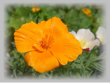 DSCN7673-2.jpg
