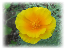 DSCN7677-2.jpg