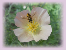 DSCN7680-2.jpg