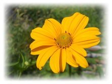 DSCN7690-2.jpg