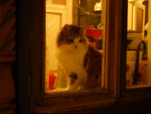 DSCN7468.JPG