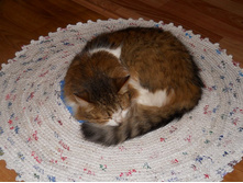 DSCN7588.JPG