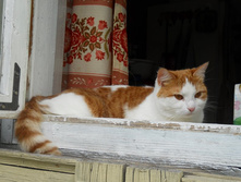 DSCN7662.JPG