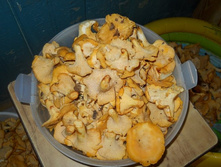 DSCN7431-1.JPG