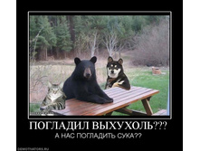 506523_pogladil-vyihuhol.jpg