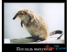 1237326851_a39330d68976.jpg