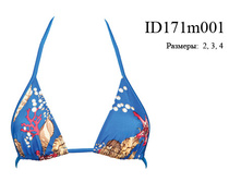 ID171m001.jpg