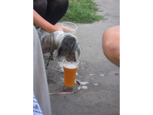 img 018.JPG