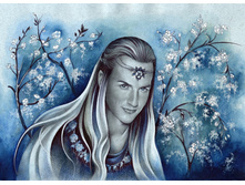 Springblossoms.jpg