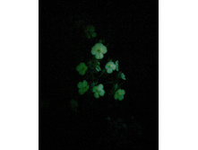 01.08.2011 14:21:20