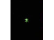 02.08.2011 10:02:21