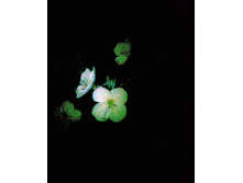 02.08.2011 10:05:08