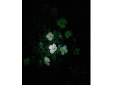 02.08.2011 10:05:23